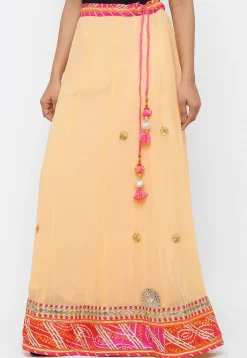 Embroidered Georgette Skirt in Peach