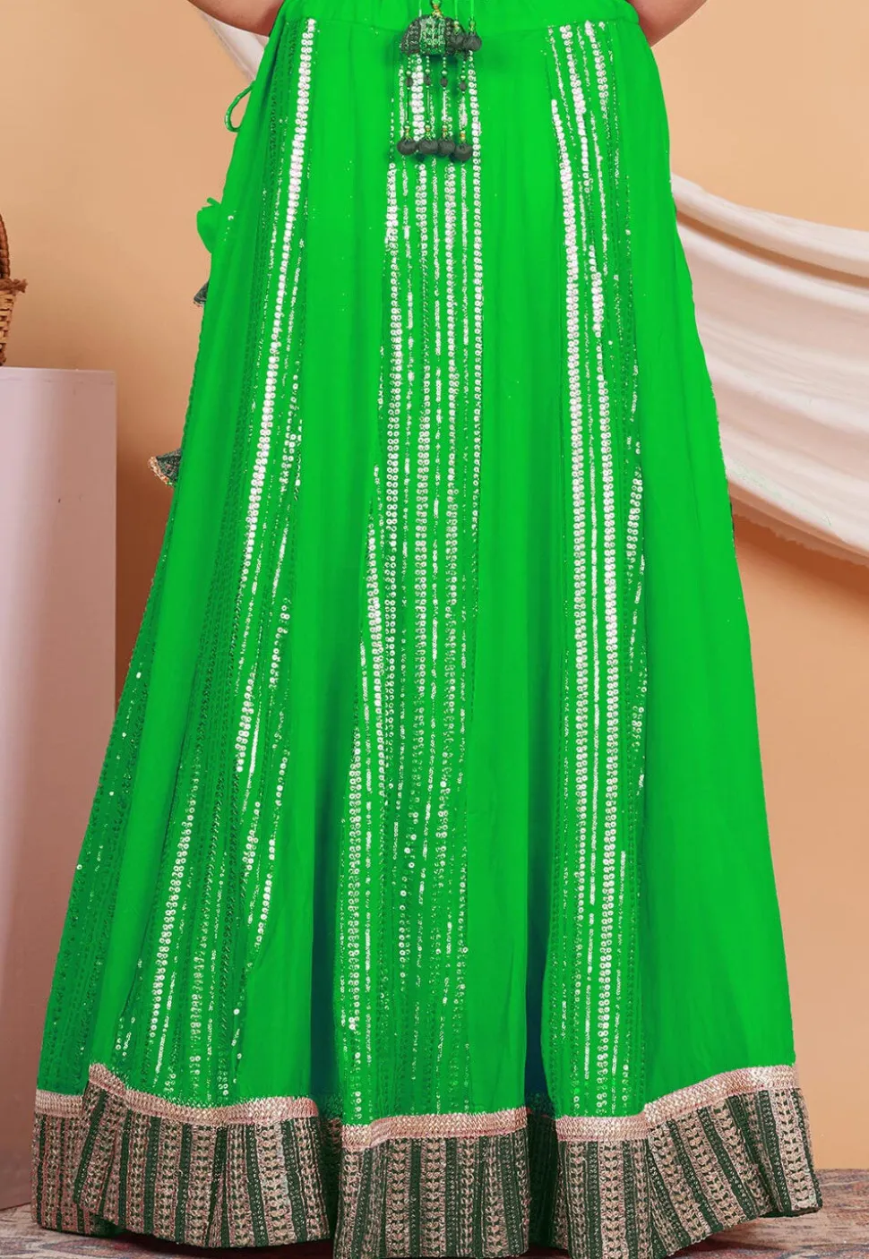 Embroidered Georgette Skirt in Green