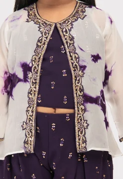 Embroidered Georgette Top Set in Wine