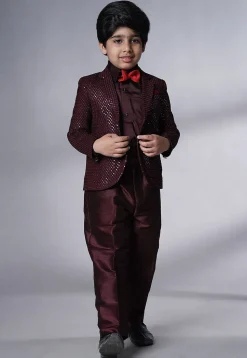 Embroidered Georgette Tuxedo in Wine