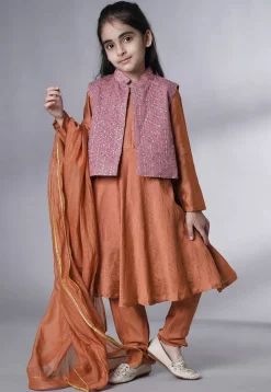 Embroidered Muslin Silk A Line Suit in Rust