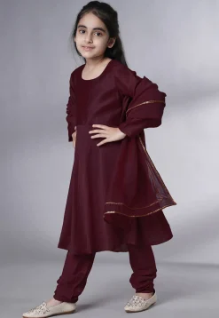 Embroidered Muslin Silk A Line Suit in Wine