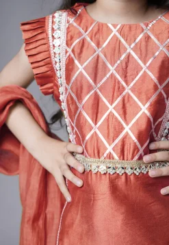 Embroidered Muslin Silk Pakistani Suit in Rust