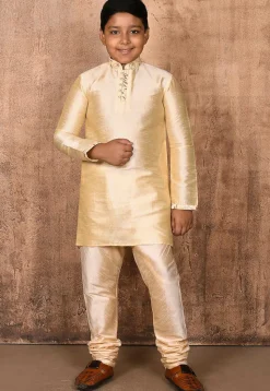 Embroidered Neckline Dupion Silk Kurta Set in Light Beige