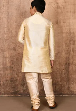 Embroidered Neckline Dupion Silk Kurta Set in Light Beige