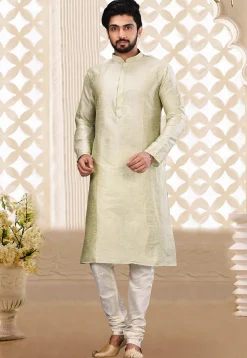 Embroidered Neckline Dupion Silk Kurta Set in Light Green