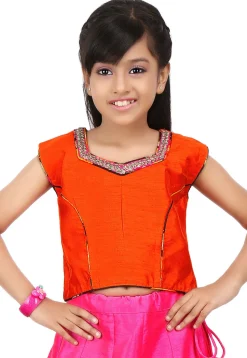 Embroidered NeckLine Dupion Crop Top in Orange