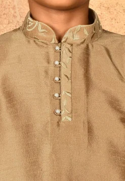 Embroidered Neckline Dupion Silk Kurta in Dark Beige
