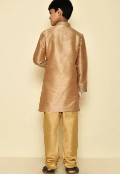 Embroidered Neckline Dupion Silk Kurta Set in Dark Beige