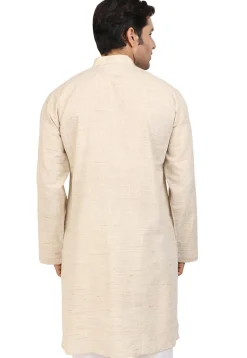 Embroidered Neckline Handloom South Cotton Kurta in Light Beige