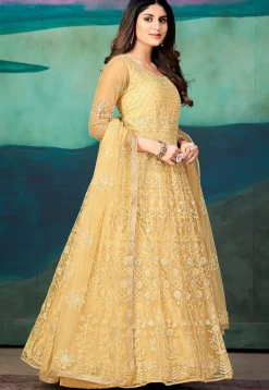 Embroidered Net Abaya Style Suit in Beige