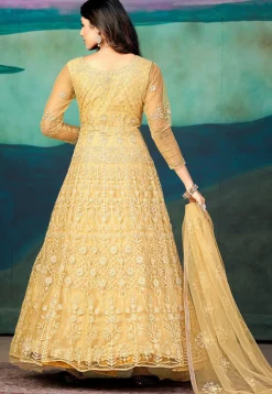 Embroidered Net Abaya Style Suit in Beige