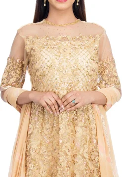 Embroidered Net Abaya Style Suit in Light Beige