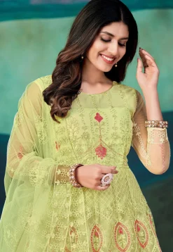 Embroidered Net Abaya Style Suit in Light Green