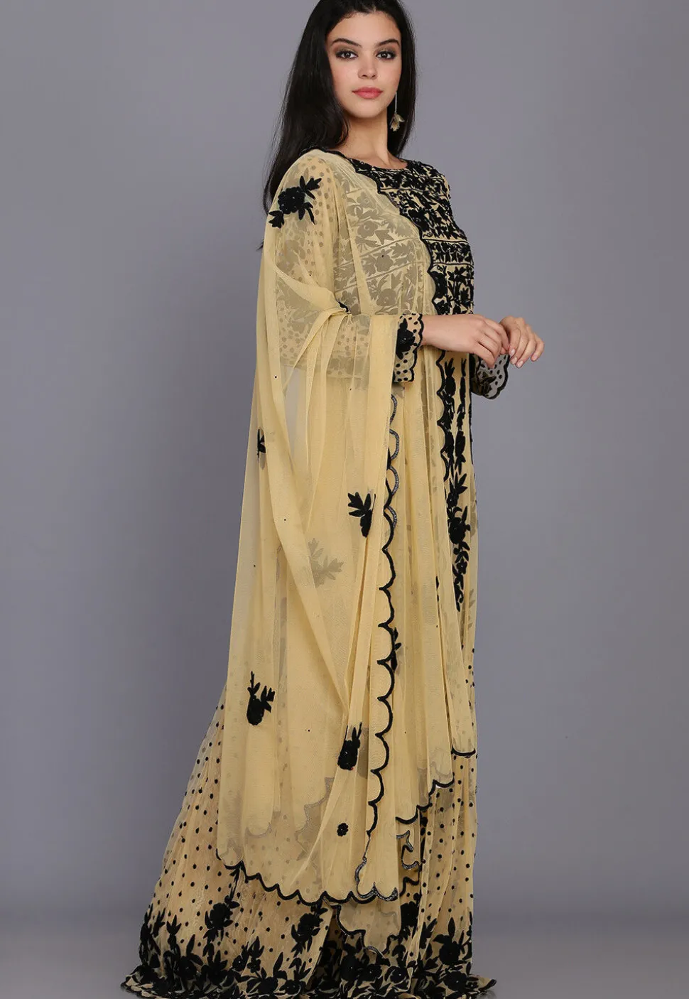 Embroidered Net Abaya Style Suit in Beige
