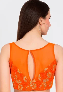 Embroidered Net Blouse in Orange