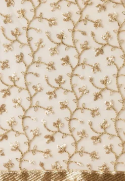 Embroidered Net Dupatta in Beige