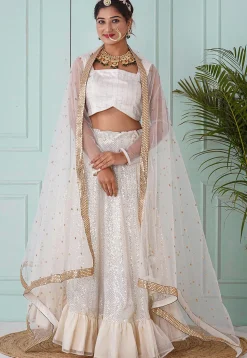 Embroidered Net Dupatta in White