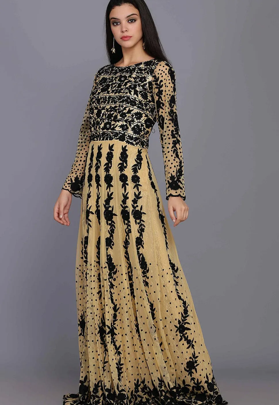 Embroidered Net Gown in Beige