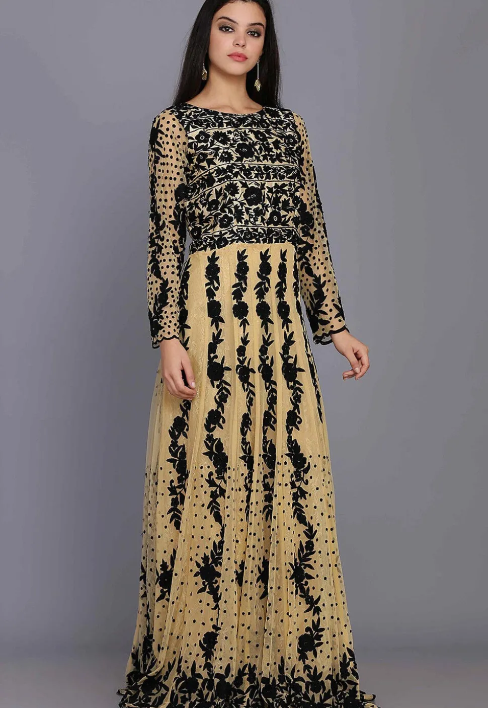 Embroidered Net Gown in Beige