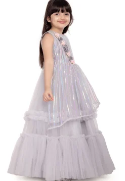 Embroidered Net Gown in Grey
