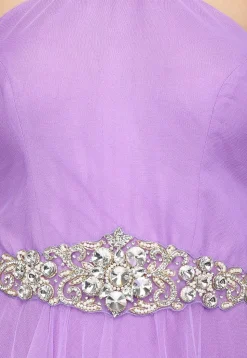 Embroidered Net Gown in Lavender