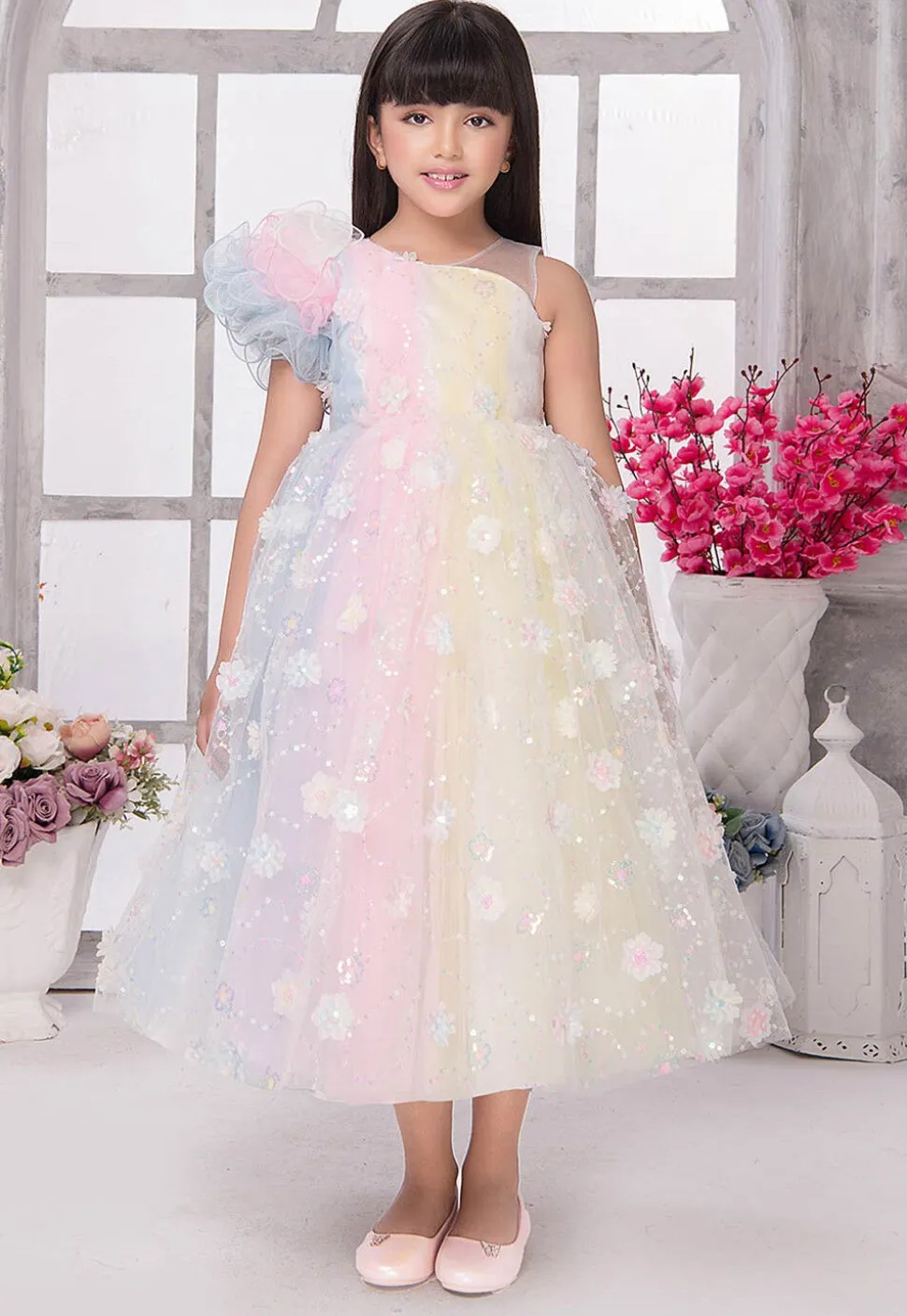 Embroidered Net Gown in Multicolor