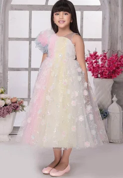 Embroidered Net Gown in Multicolor