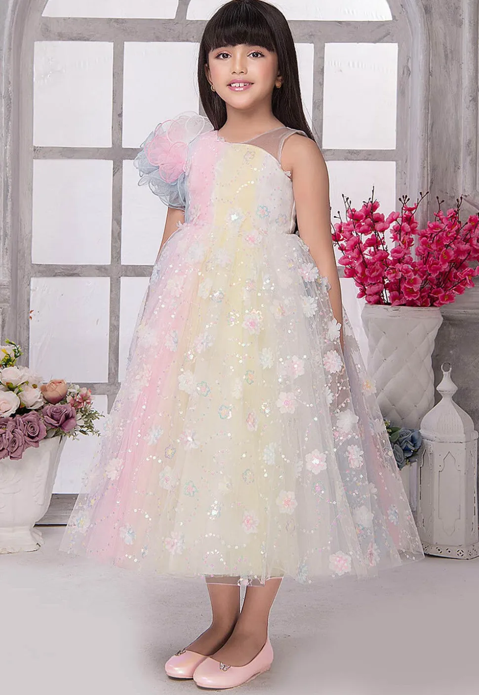 Embroidered Net Gown in Multicolor