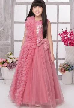 Embroidered Net Gown in Pink
