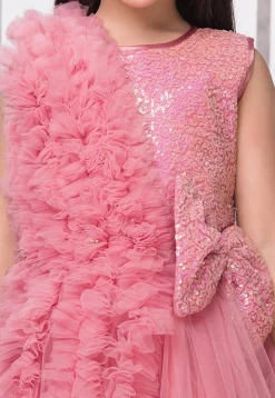 Embroidered Net Gown in Pink