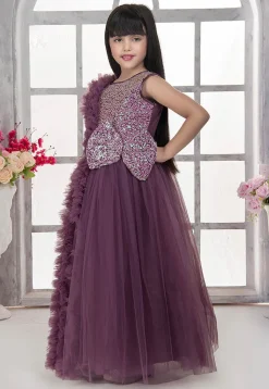 Embroidered Net Gown in Purple