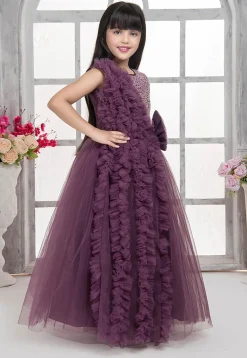 Embroidered Net Gown in Purple