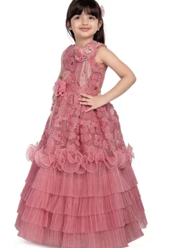 Embroidered Net Gown in Peach
