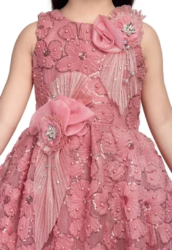 Embroidered Net Gown in Peach