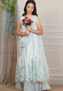 Embroidered Net Gown with Attached Dupatta in Pastel Blue