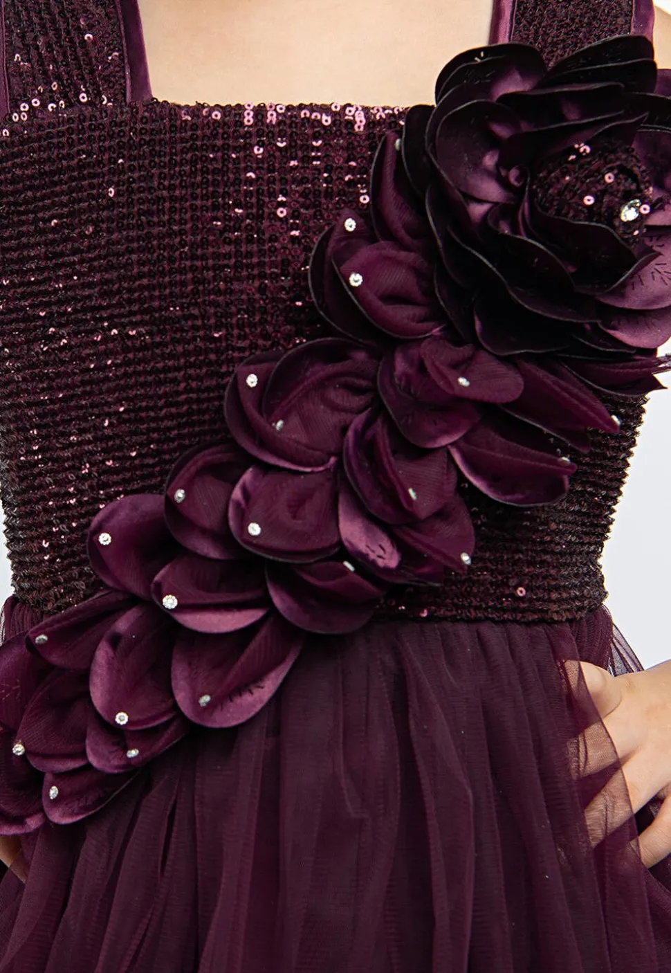 Embroidered Net Layered Gown in Wine
