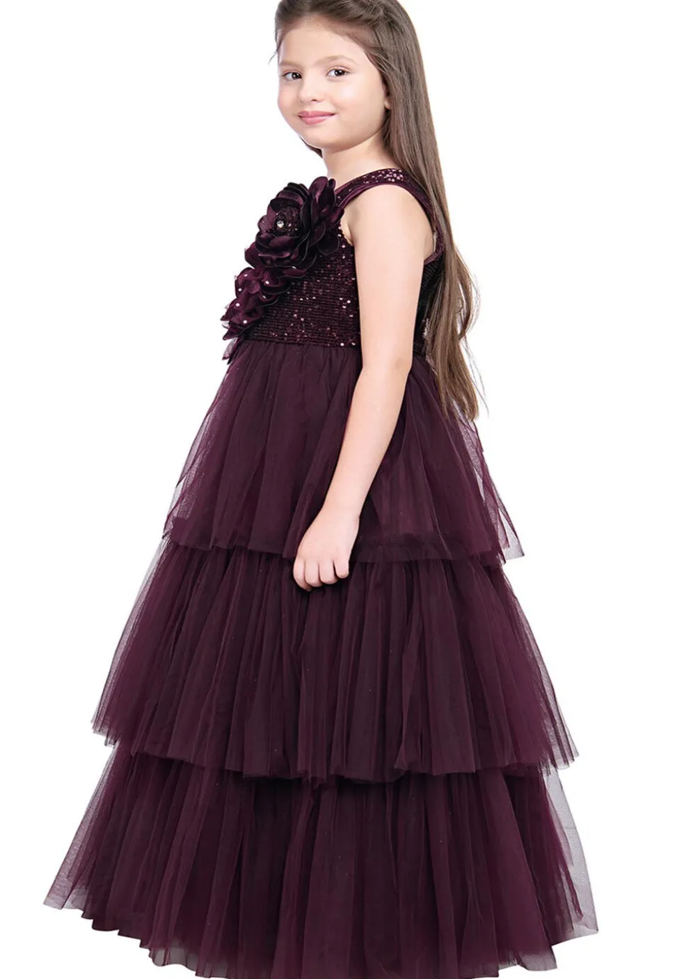 Embroidered Net Layered Gown in Wine