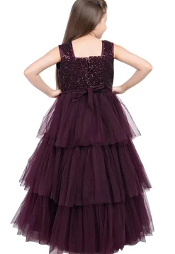Embroidered Net Layered Gown in Wine