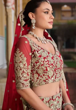 Embroidered Net Lehenga in Red