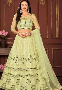 Embroidered Net Lehenga in Light Green