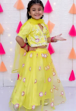 Embroidered Net Lehenga in Yellow