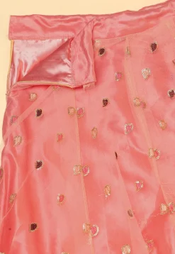 Embroidered Net Lehenga in Peach