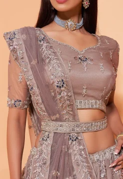 Embroidered Net Lehenga in Fawn