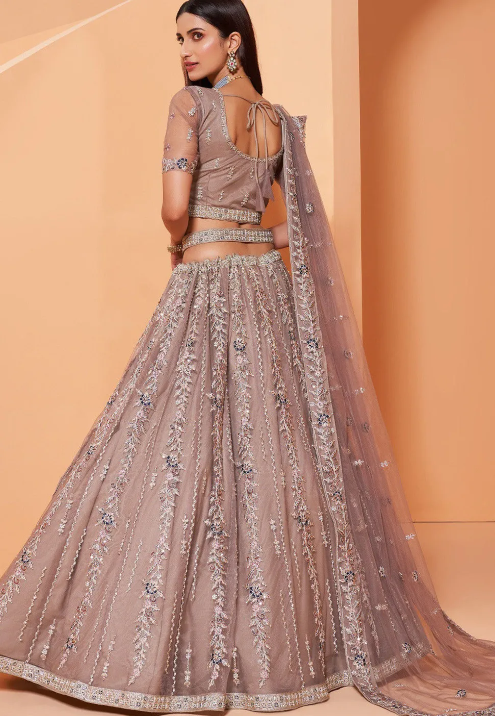 Embroidered Net Lehenga in Fawn