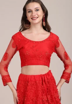 Embroidered Net Lehenga in Red