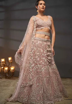 Embroidered Net Lehenga in Peach