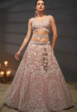 Embroidered Net Lehenga in Peach