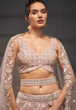 Embroidered Net Lehenga in Peach