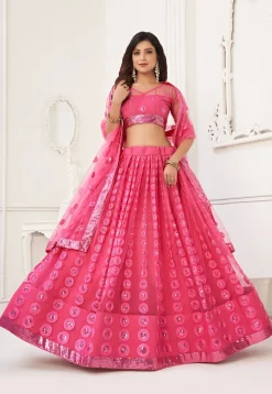 Embroidered Net Lehenga in Pink